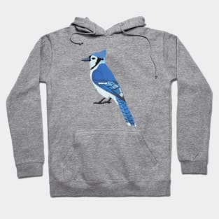 Blue Jay Hoodie